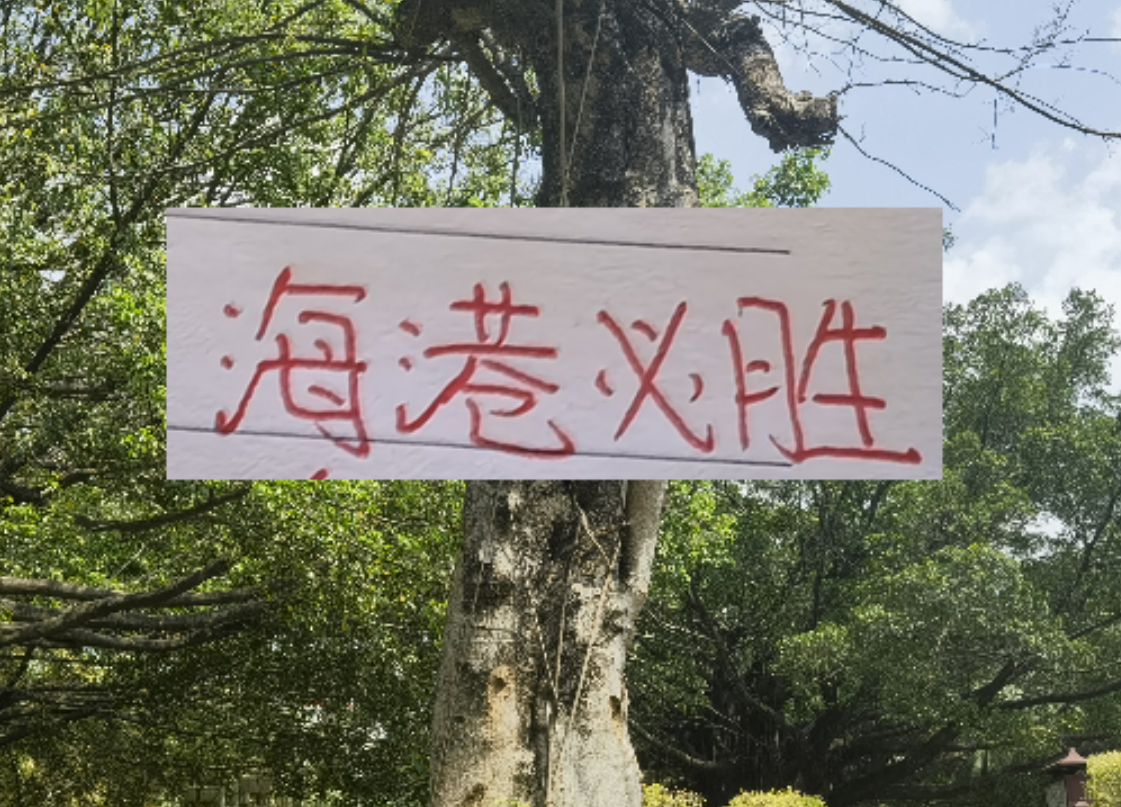 开云官方网站-前有奇塔 现有奥斯卡 海港旧将也喜欢度假途径母队